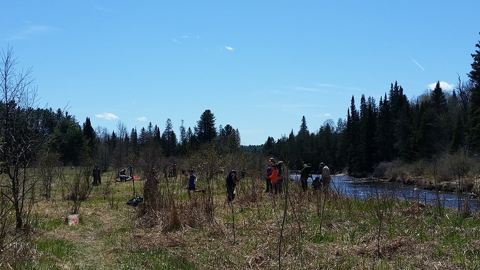 New England BHA, Local Groups Collaborate for Stream Bank Restoration Project