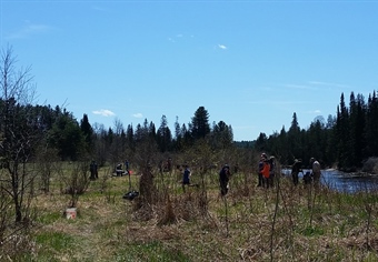 New England BHA, Local Groups Collaborate for Stream Bank Restoration Project