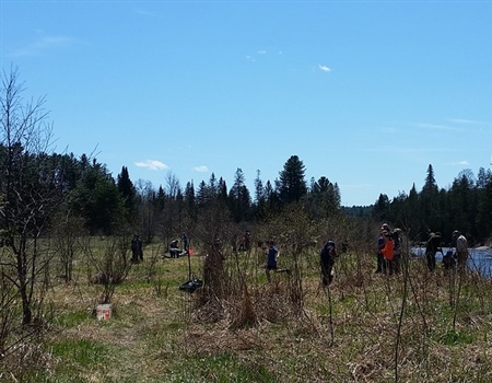 New England BHA, Local Groups Collaborate for Stream Bank Restoration Project