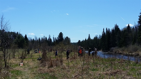 New England BHA, Local Groups Collaborate for Stream Bank Restoration Project