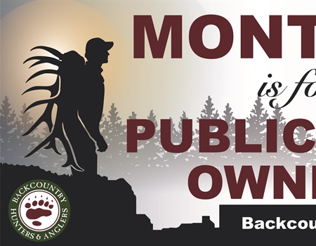 Montana Named 'Chapter of the Month' April 2019