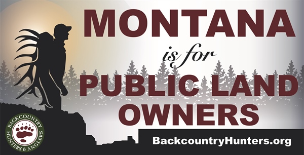 Montana Named 'Chapter of the Month' April 2019