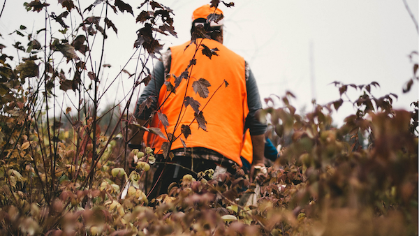 New England BHA Shares Mentoring Program with Northeastern Natural Resource Professionals and Agencies