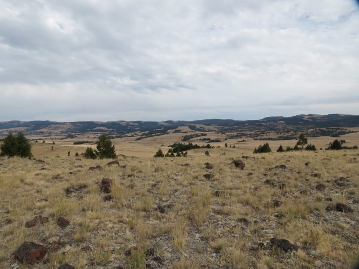 Hunters push back on cattle grazing in Spotted Dog Wildlife Management Area