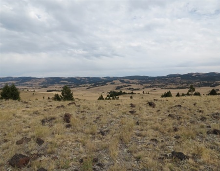 Hunters push back on cattle grazing in Spotted Dog Wildlife Management Area