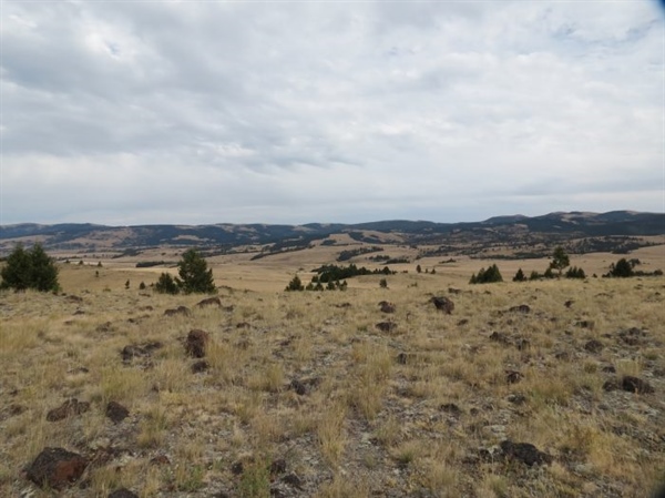 Hunters push back on cattle grazing in Spotted Dog Wildlife Management Area