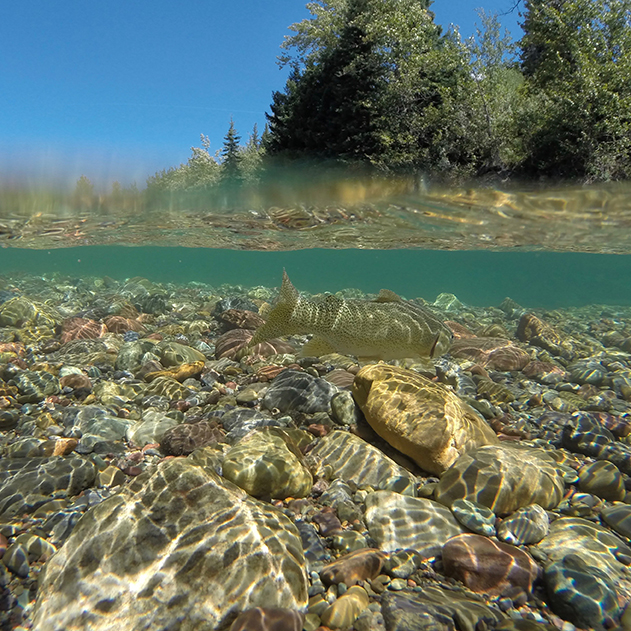 BHA's official public comment in support of clean waters