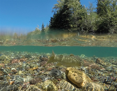 BHA's official public comment in support of clean waters