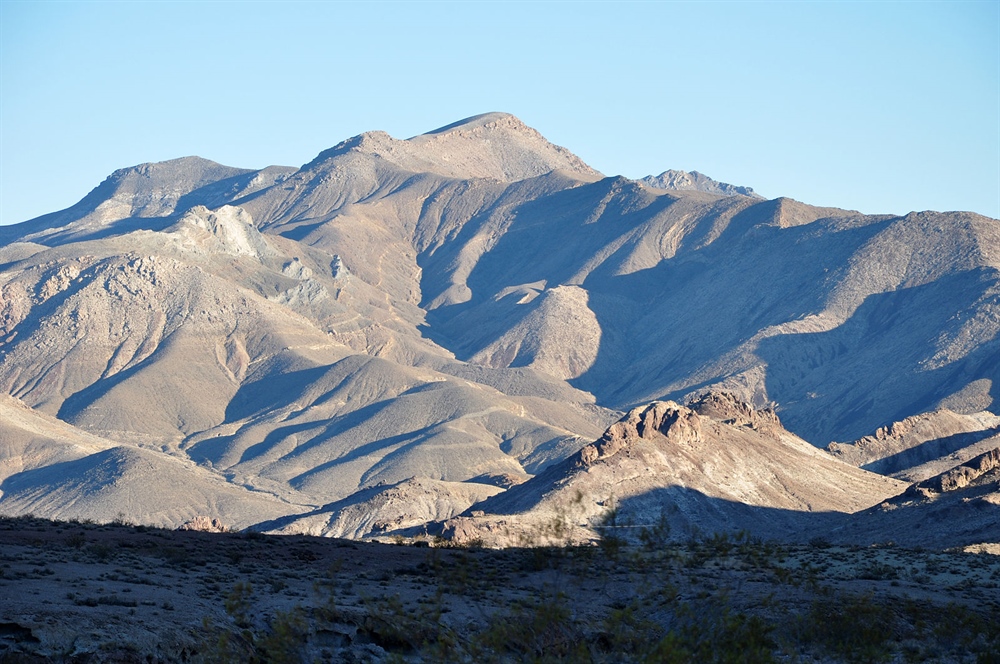 Nevada Chapter Update on Policy Issues in State