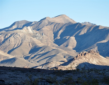Nevada Chapter Update on Policy Issues in State