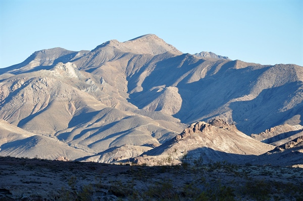 Nevada Chapter Update on Policy Issues in State