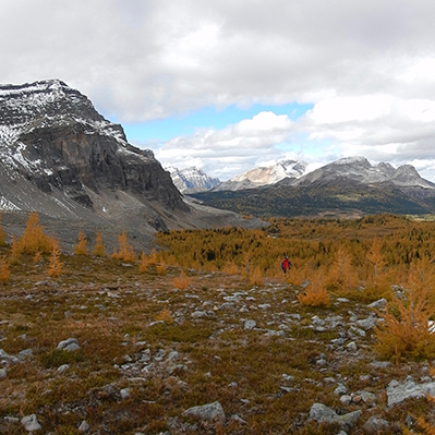Get Involved in the 'Let's Talk Mountain Parks' process