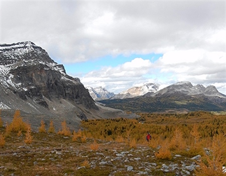 Get Involved in the 'Let's Talk Mountain Parks' process