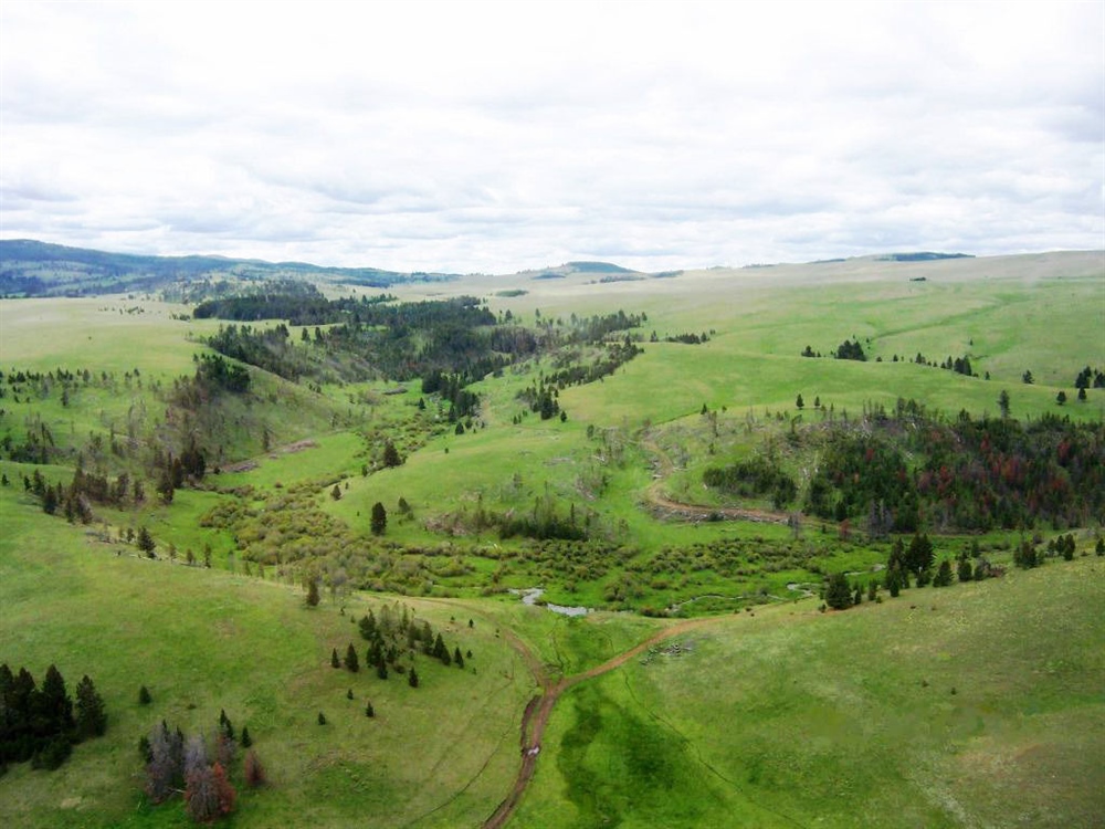 LETTER: Montana BHA Comments on Spotted Dog WMA Grazing