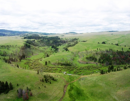 LETTER: Montana BHA Comments on Spotted Dog WMA Grazing