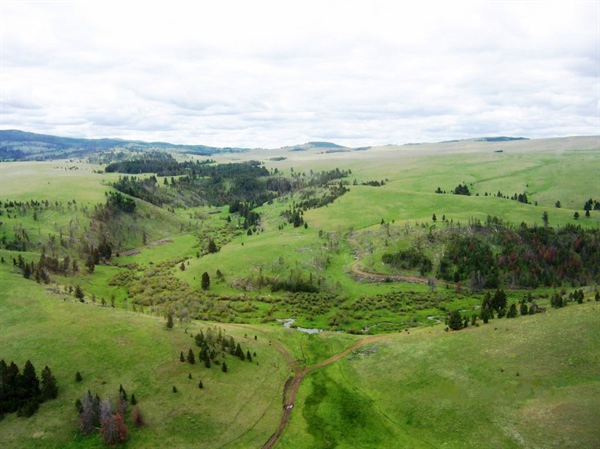 LETTER: Montana BHA Comments on Spotted Dog WMA Grazing