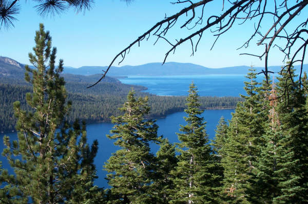 Chapter formulates plan to support AB 84