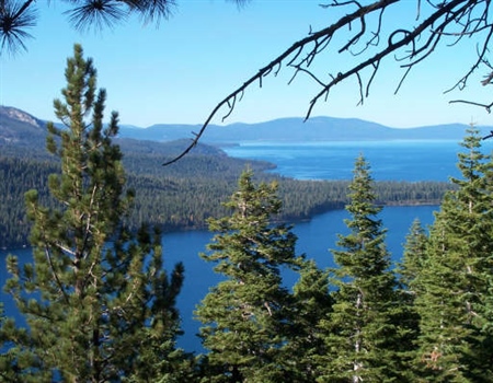 Chapter formulates plan to support AB 84