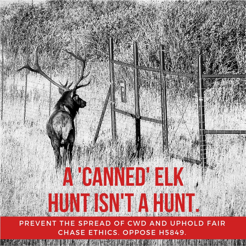 New England BHA Opposes Legislation Allowing Big Game Hunting in Rhode Island Shooting Preserves