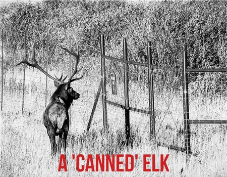 New England BHA Opposes Legislation Allowing Big Game Hunting in Rhode Island Shooting Preserves