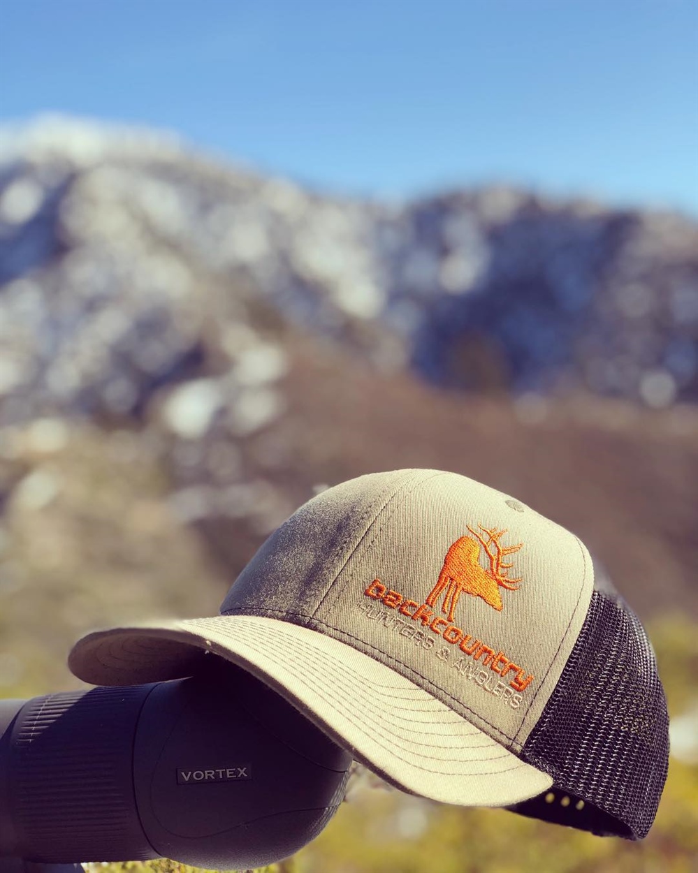 California Chapter helps with Desert Sheep survey