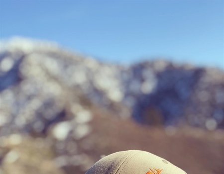 California Chapter helps with Desert Sheep survey
