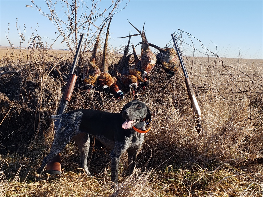 BHA Officially Launches Iowa Chapter