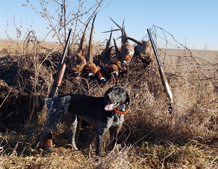 BHA Officially Launches Iowa Chapter
