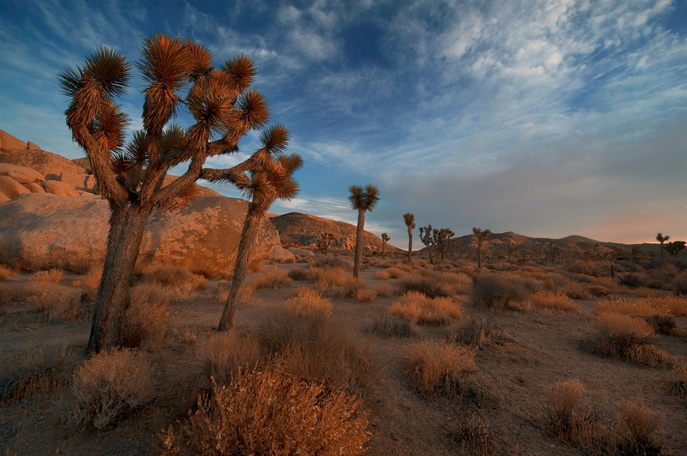 California Desert Bill included in S.47