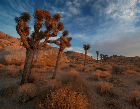 California Desert Bill included in S.47