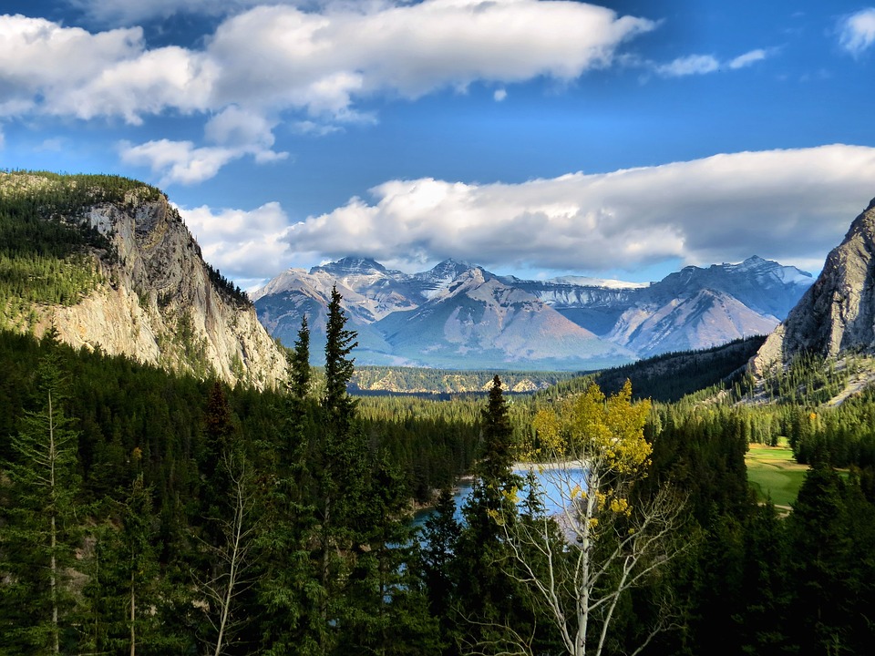 Alberta BHA Voices Support for Bighorn Proposal