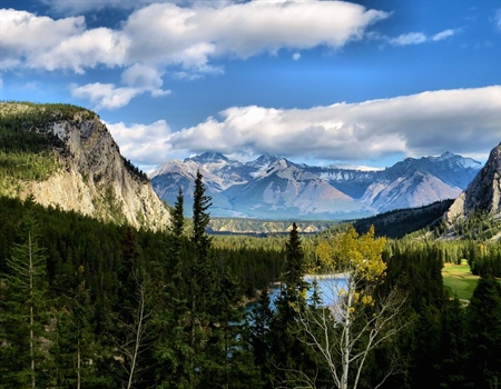 Alberta BHA Voices Support for Bighorn Proposal