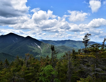 NY BHA Supports Full Funding for Environmental Protection Fund