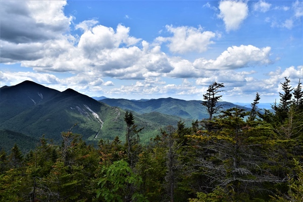 NY BHA Supports Full Funding for Environmental Protection Fund