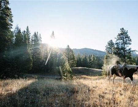 OPINION: Finding a path forward for our wild backyard