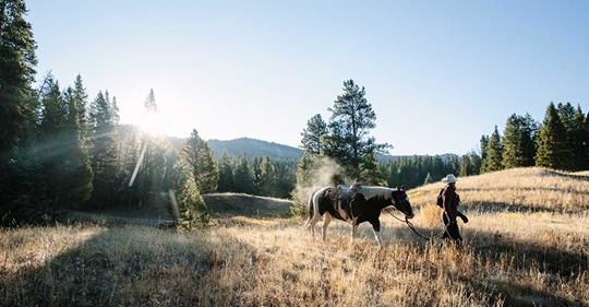 OPINION: Finding a path forward for our wild backyard