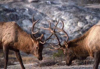 Idaho Couple Defends Road Closure, Reports Illegal Use