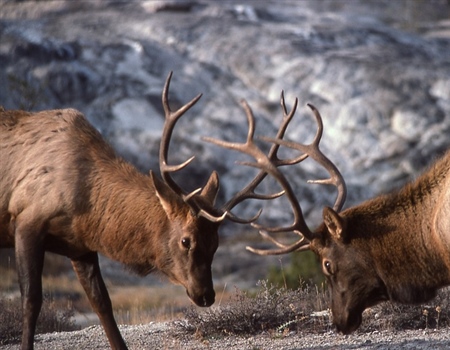 Idaho Couple Defends Road Closure, Reports Illegal Use