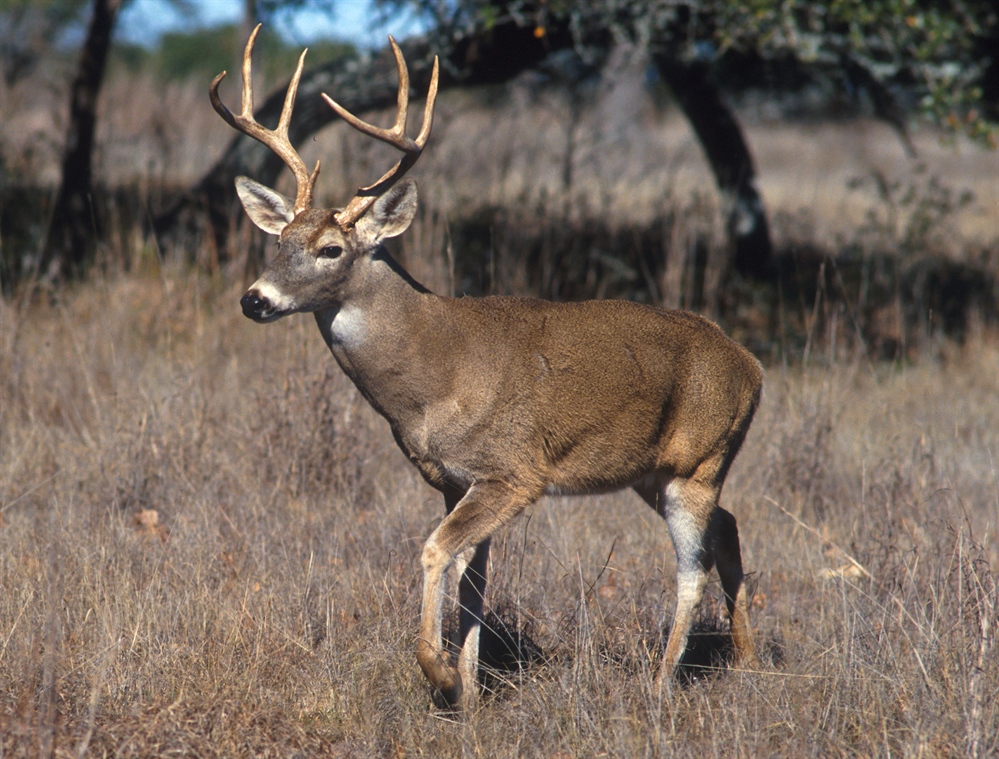 Missouri Politics Leave Public Lands Closed