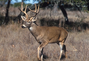 Missouri Politics Leave Public Lands Closed