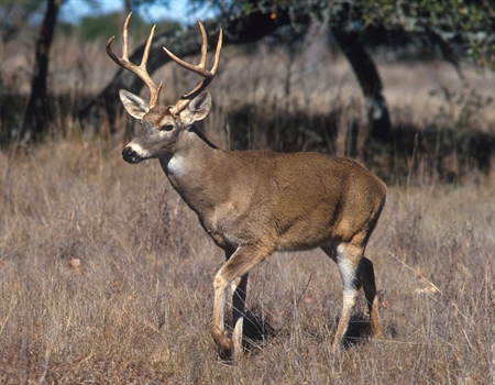 Missouri Politics Leave Public Lands Closed