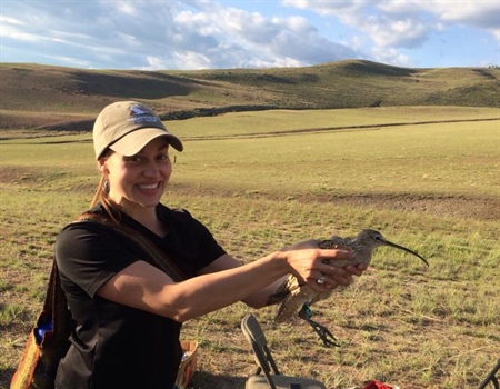 LETTER: Montana BHA Supports Garrity Mountain WMA Addition