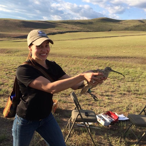 LETTER: Montana BHA Supports Garrity Mountain WMA Addition