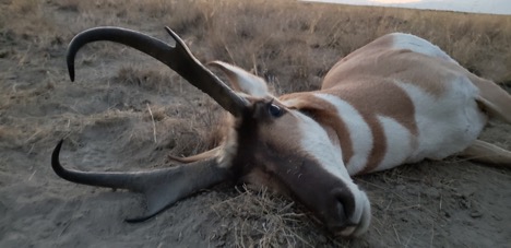 Idaho Sportsman Does the Right Thing for Wildlife and Habitat