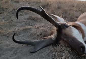 Idaho Sportsman Does the Right Thing for Wildlife and Habitat