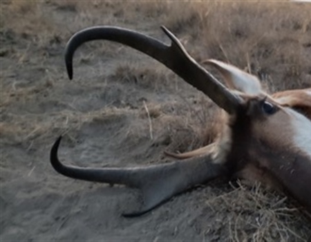 Idaho Sportsman Does the Right Thing for Wildlife and Habitat
