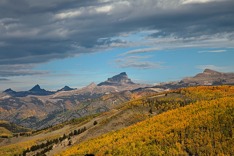 Colorado Hunter Rewarded for Reporting Illegal OHV Use on Public Lands