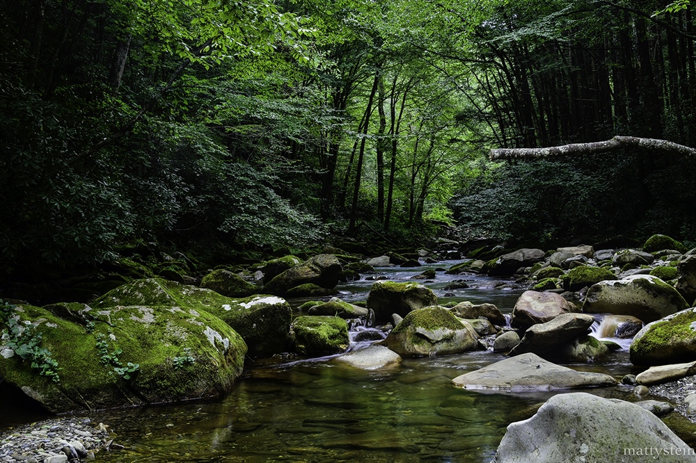 What Happens When We Vote Public Lands and Waters? We Win!