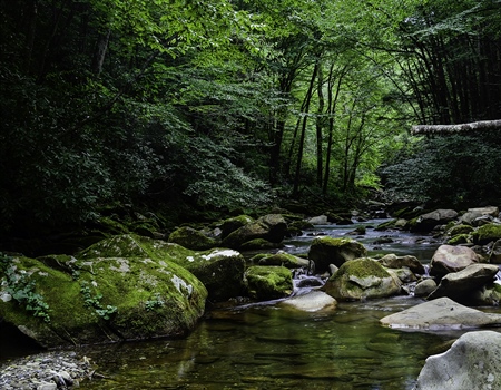 What Happens When We Vote Public Lands and Waters? We Win!