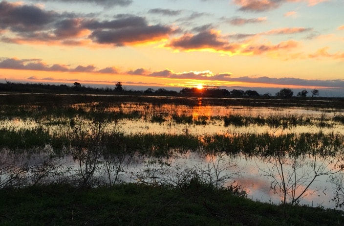 Texas BHA Takes Part in Chenier Plain Sportsmen’s Summit